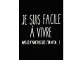 T shirt homme humour drôle rigolo je suis facile à vivre manche courte noir France